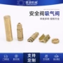 导电数控镀金安全阀铜柱