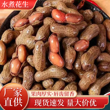 ˮζuζ_ʳҹ¾ƲʳСԽeʳ