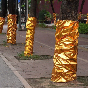 ����̨�𲼽𼈰����b�����ɽ�ɫ��������ľ�p�@�𲭼��Ƶ�ץ