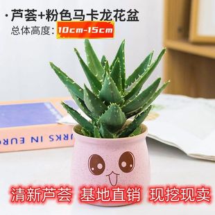 �J�Cֲ���ݗ���J�C���Գ���ȩ���ݐ���������˴�G������Gɫ