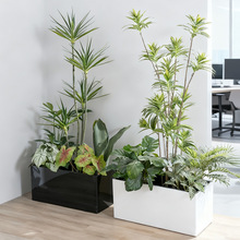 ����Nֲ���L�����Ԅ���ˮ�����̨���仨���L�l���T��Gֲ����