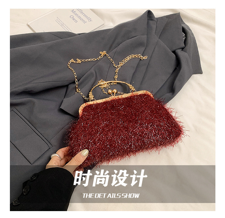A trendy and fashionable women's 2024 autumn new chain crossbody bag, a Korean-style hand-held shell bag undefined