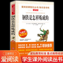 爱阅读语文教材阅读丛书钢铁是怎样炼成的精读版八年级下册青少年