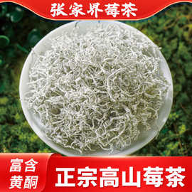 张家界莓茶新茶叶散批养生茶代用藤茶正宗芽尖源头工厂泡水冲泡