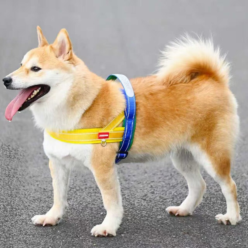 马鞍式狗狗牵引绳中小型犬比熊防挣脱遛狗绳泰迪宠物胸背带遛狗链|undefined