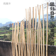 ԭľȥƤ�ɘ�֦���Uɭϵ���b��؛�ܙ����b�ľ����̺��᣿ݘ�֦