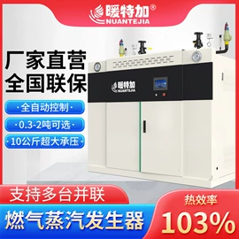 燃气锅炉;蒸汽发生器