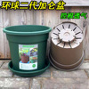 Global gallons, second -generation resin breathable Qingshan basin, plastic succulent flower pot container, rose green plant control basin