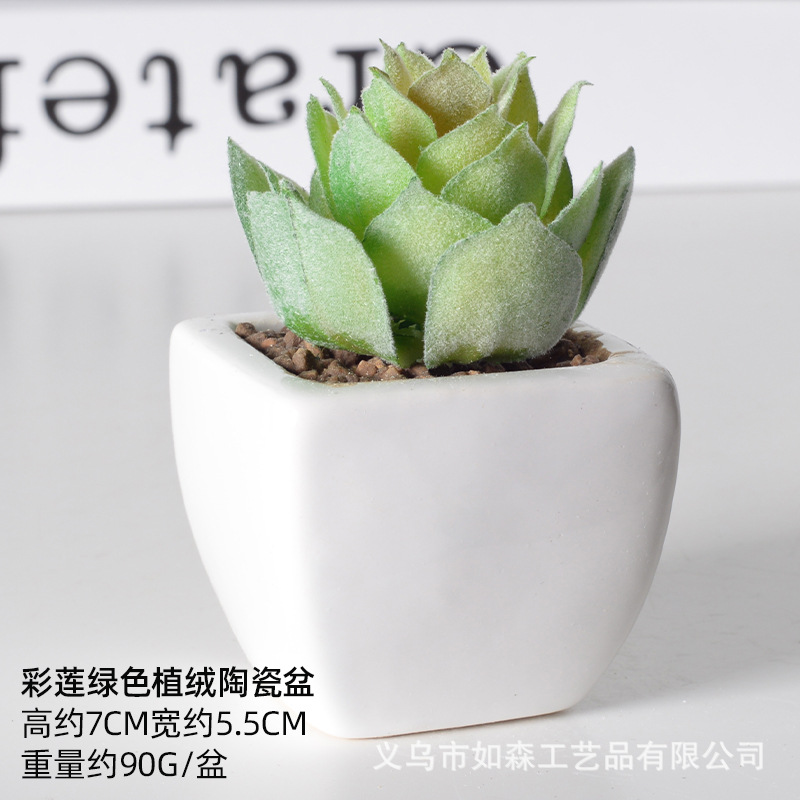 Simulación de cerámica bonsai de carne doméstica decoración de escritorio de oficina plantación verde maceta props de disparo maceta combinada artificial image 18