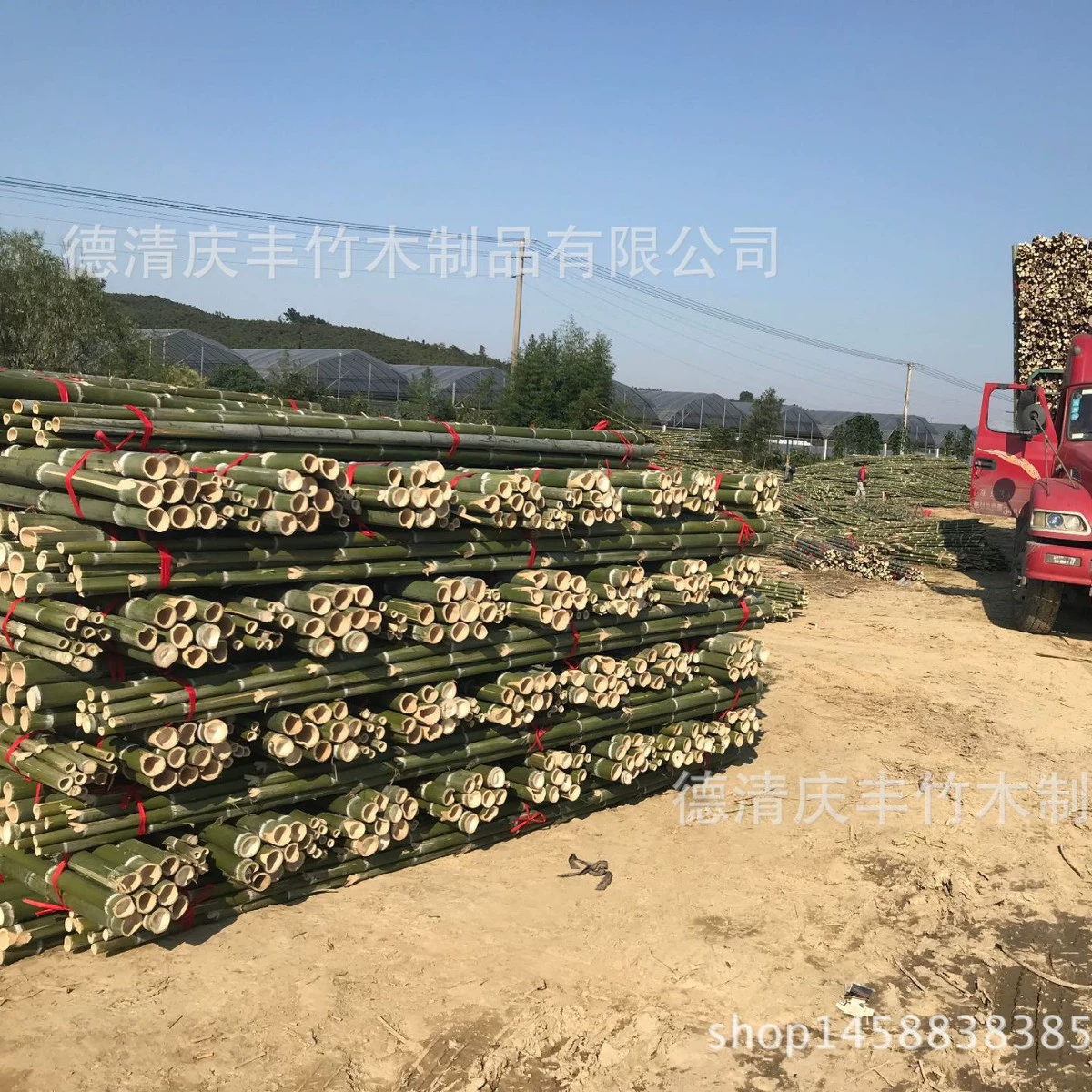 Заводское происхождение различных спецификаций сельскохозяйственные стеллажи саженцы Зеленая Опора Бамбук Большой бамбук маленький бамбук