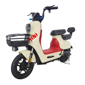 Compact Electric Bicycle Custom Commuter