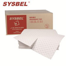 ��˹ؐ�� SYSBEL �����ތ��I������й©�A�������޷���h��