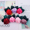 Children's cloth, sophisticated multicoloured hair accessory, big hairgrip for princess, wholesale