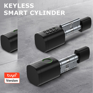 Bluetooth Lock Core with Card Swipe, Fingerprint, Password, Key for Indoor Wooden Doors, Hotel Rental Room Door Lock, Unlocking, Smart Anti-Theft