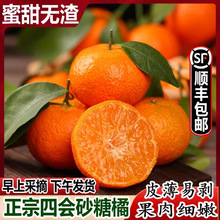 ɰ�����rɳ�ǽ۬Fժˮ����Ƥ������S�������eʳƷ���l������ʳƷ