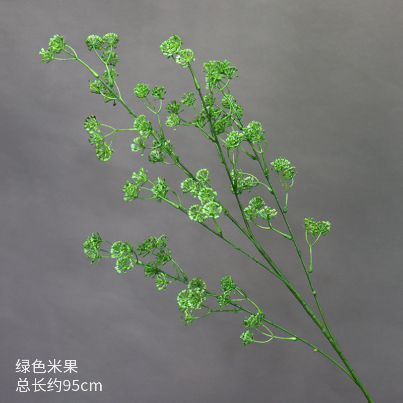 Fruto de arroz verde