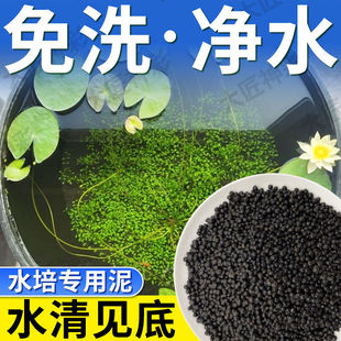 ˮ��������ɰ�~�׵�ɰˮ��ֲ�������������ˮ�~�X��˯ɏ��ɏ