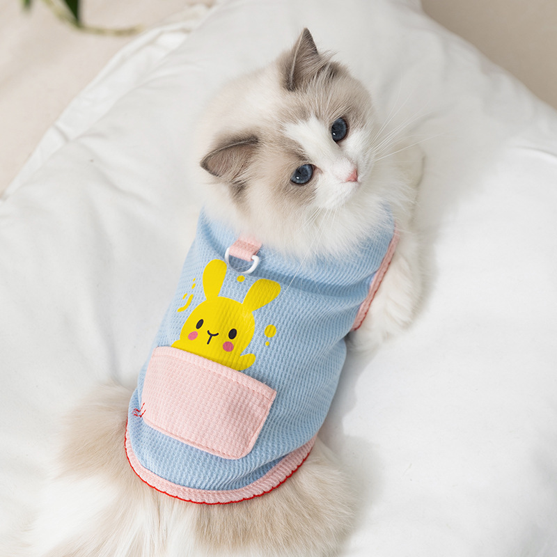 Gato verano transpirable gato sin pelo gatito dibujos animados conejo bolsillo chaleco de dos patas perro peluche ropa para mascotas