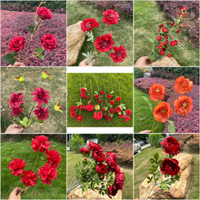 ��tɫ���潑��õ��S�� �¿�tɫ���}��Y·������ ��׼ٻ����l