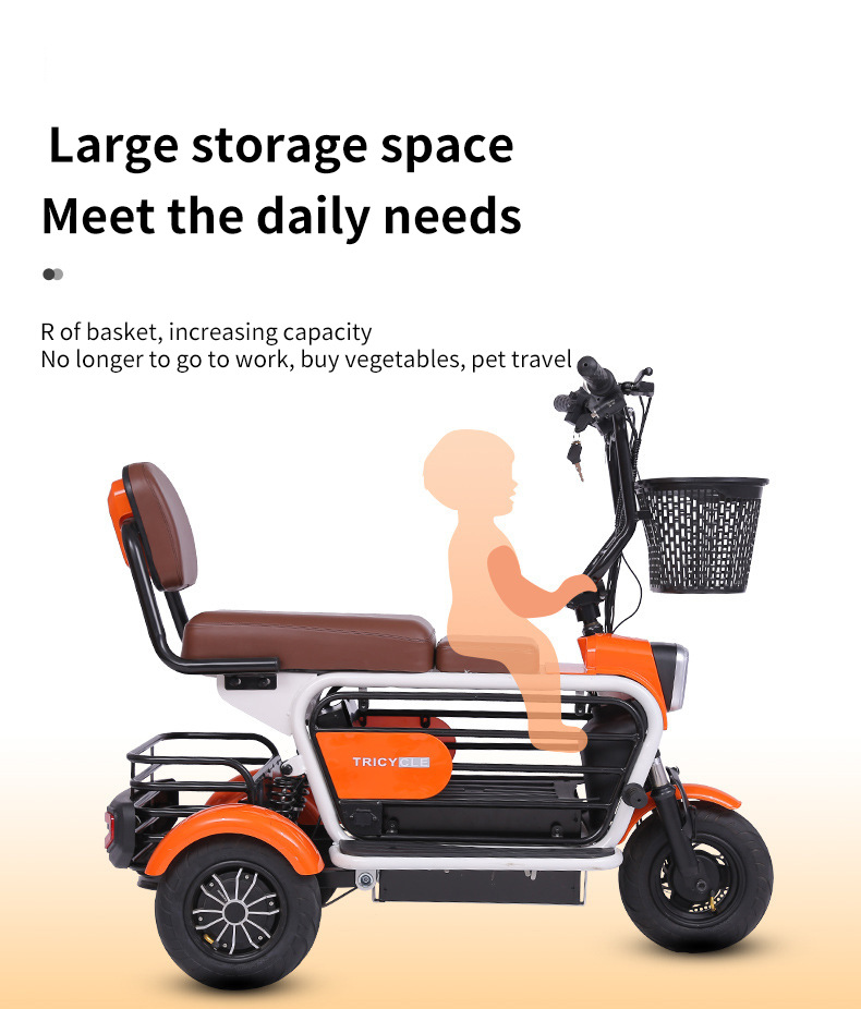 Electric Tricycle for Elderly/Pet Use