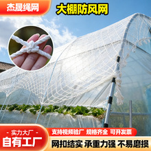 大棚防风网 瓜果蔬菜农业大棚挡风压膜网厂家批发草垛养殖 防风网