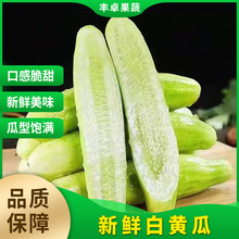 白水果黄瓜新鲜生吃白黄瓜蔬菜水果新鲜蔬菜