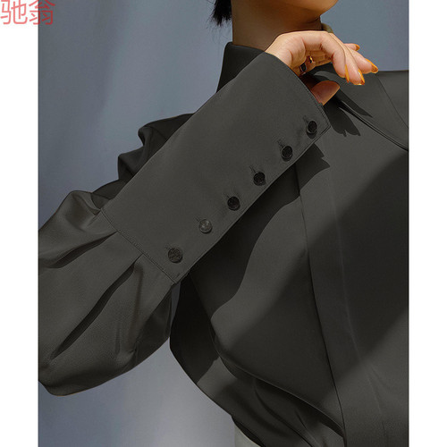 H8A point-neck satin shirt for women in spring and autumn, loose draping silk slip top, design, niche temperament, lapel
