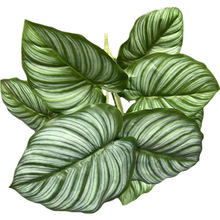 ���������~ˮ���~ ��ˮ�^�� �G�}�~ 12�~ ����Gֲ�~ �Gֲ���~��