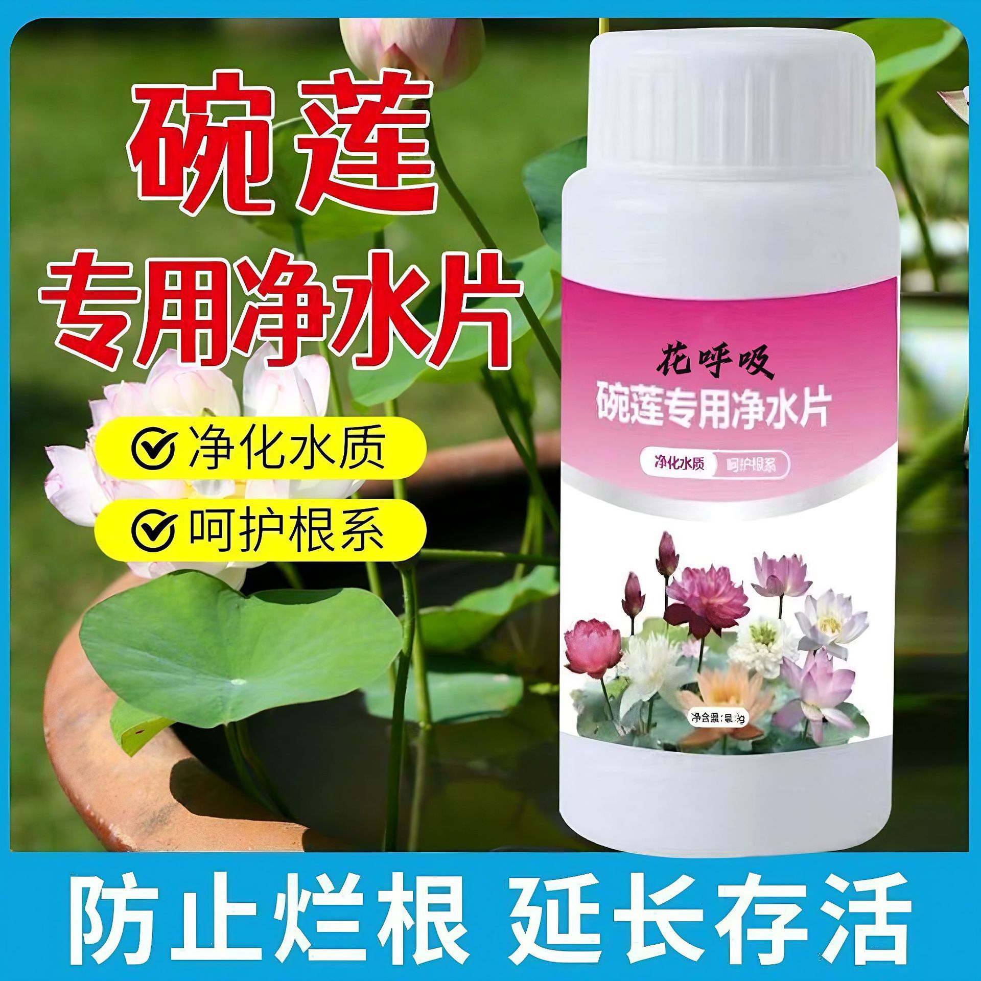 碗莲净水片清澈水培植物通用 睡莲荷花净化水质水池除臭去杂质
