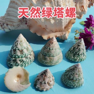 ��Ȼؐ�����ݾG���݌�����΢���^Ư��ƿˮ�����b��ݚ�