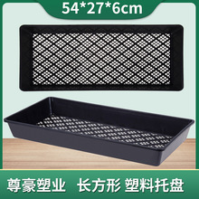 批发芽苗菜盘芽菜盘菜芽盘小草种草育苗盘芽苗盘玛咖盘长方盘特价