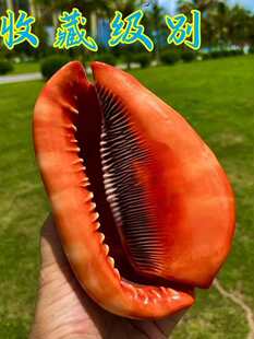 ؐ���f���ݺ����Ĵ������ղؔ[���~���쾰ˮ���b��쾰��