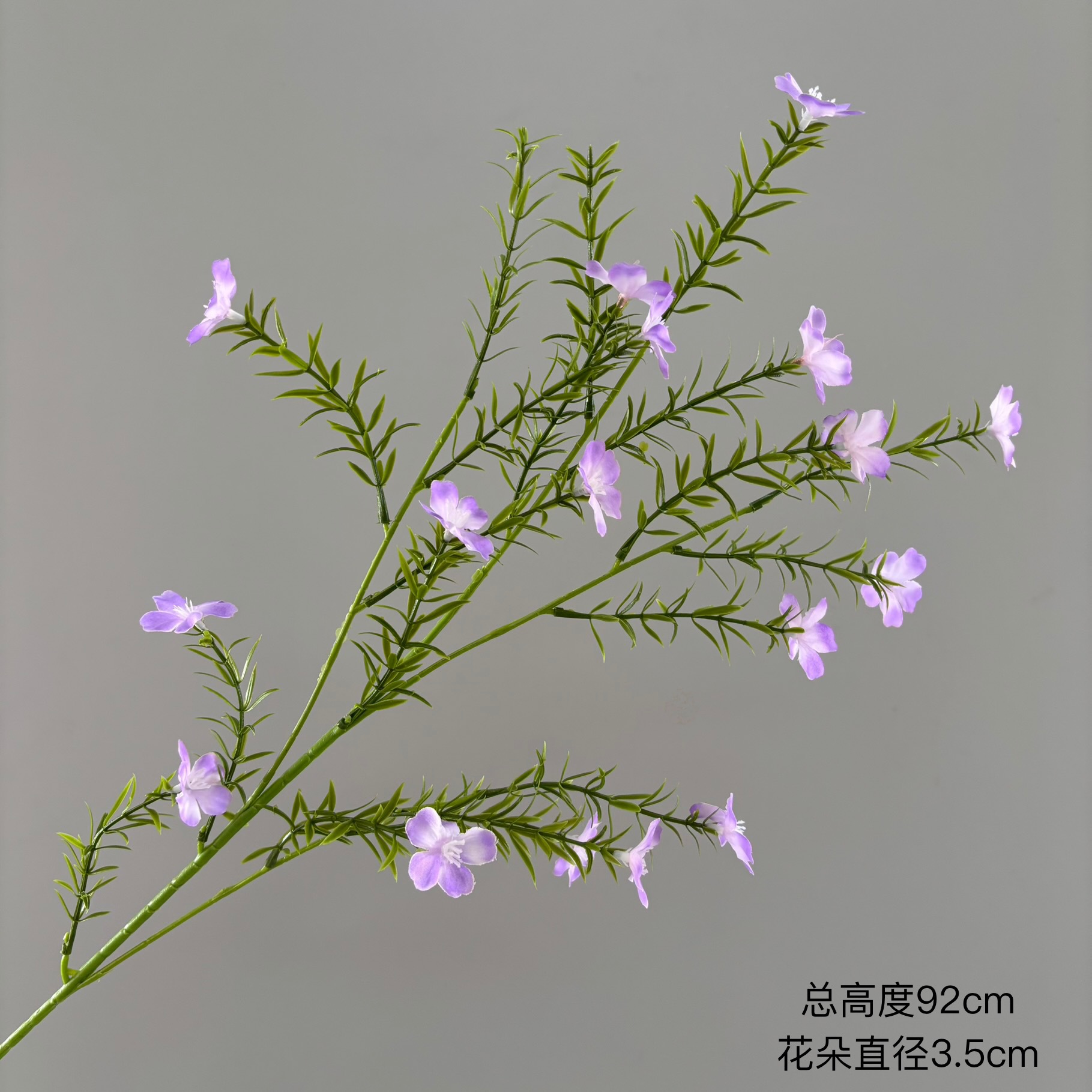 작은 야생화