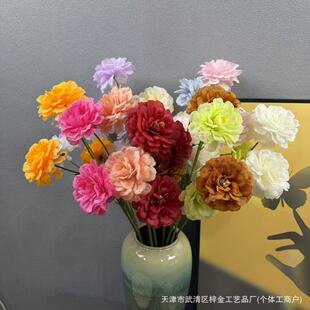 ����o�~����ĵ�� ľ�ȸ߼��л�c��ˇ����·���b����W�Ɍ��û�