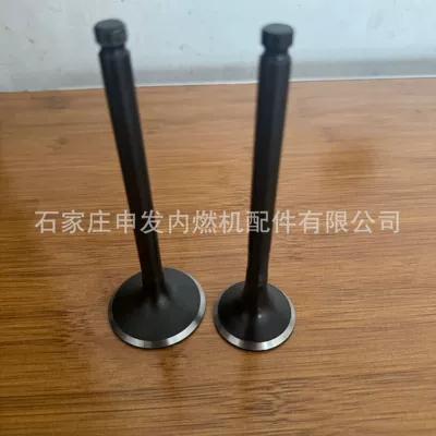 In stock: 6BG1 intake valve 1125511390, exhaust valve 1125520520 (Valves and components)