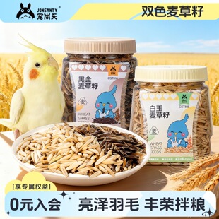 �������W�^��ʳӖ���������ڽ��pɫ������ĵ�������B�Z�Bʳ�I�B