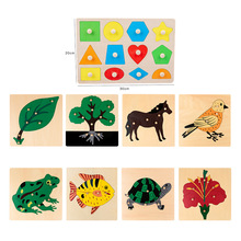 �׺ΈD�β�� �J֪���� �J֪�D�β�� ����ؽ̿������IӖ������