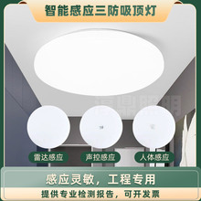 �t�⾀led���w�Б���������픟��؟����_���Șǵ��Б���픟�