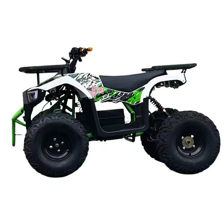 60V1000W Электрические пляжные автомобили внедорожный ATV снегоход мотоцикл