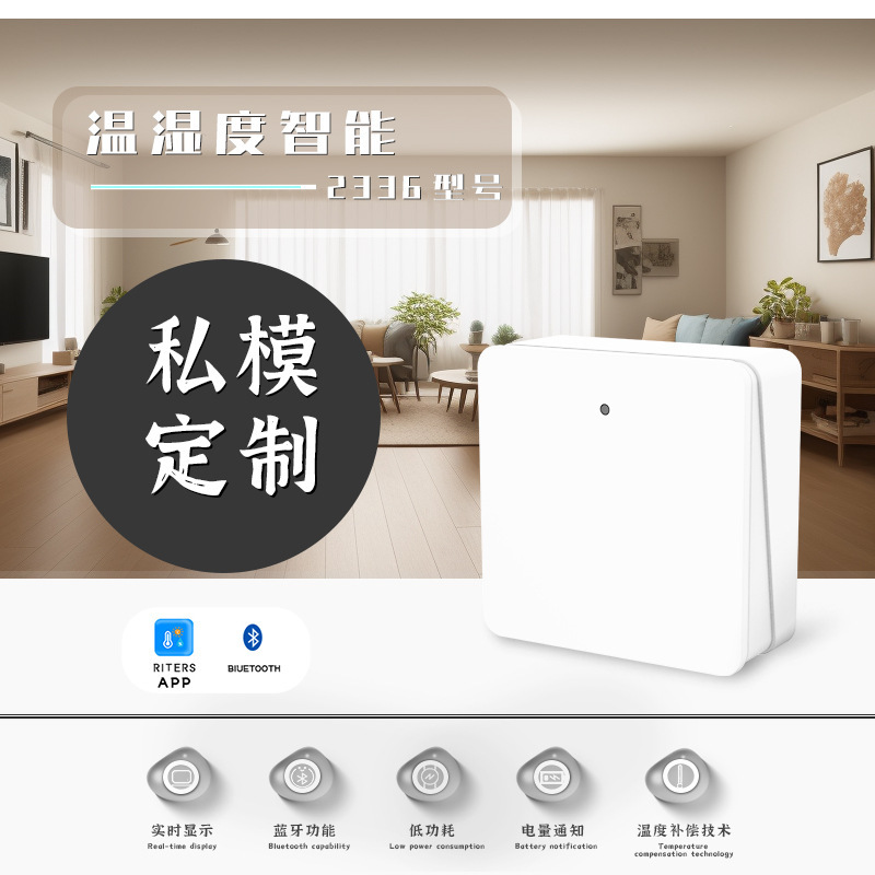 Riters2023 new indoor and outdoor smart home phone APP temperature and humidity meter dry humidity measurement sensor