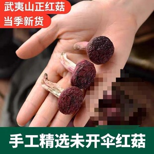 ��؛����ɽҰ��С�t�������خa�t׵����؛�tĢ��С����