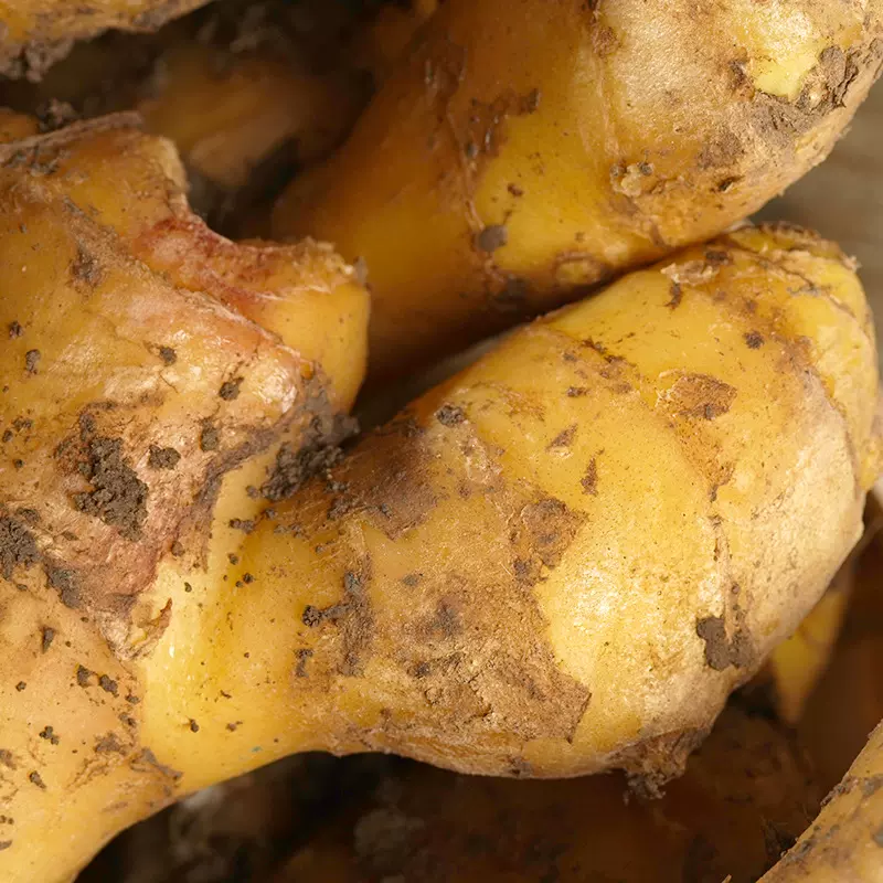 山东特产安丘大姜整箱装现货批发生姜面姜  老姜批发嫩姜泥黄姜