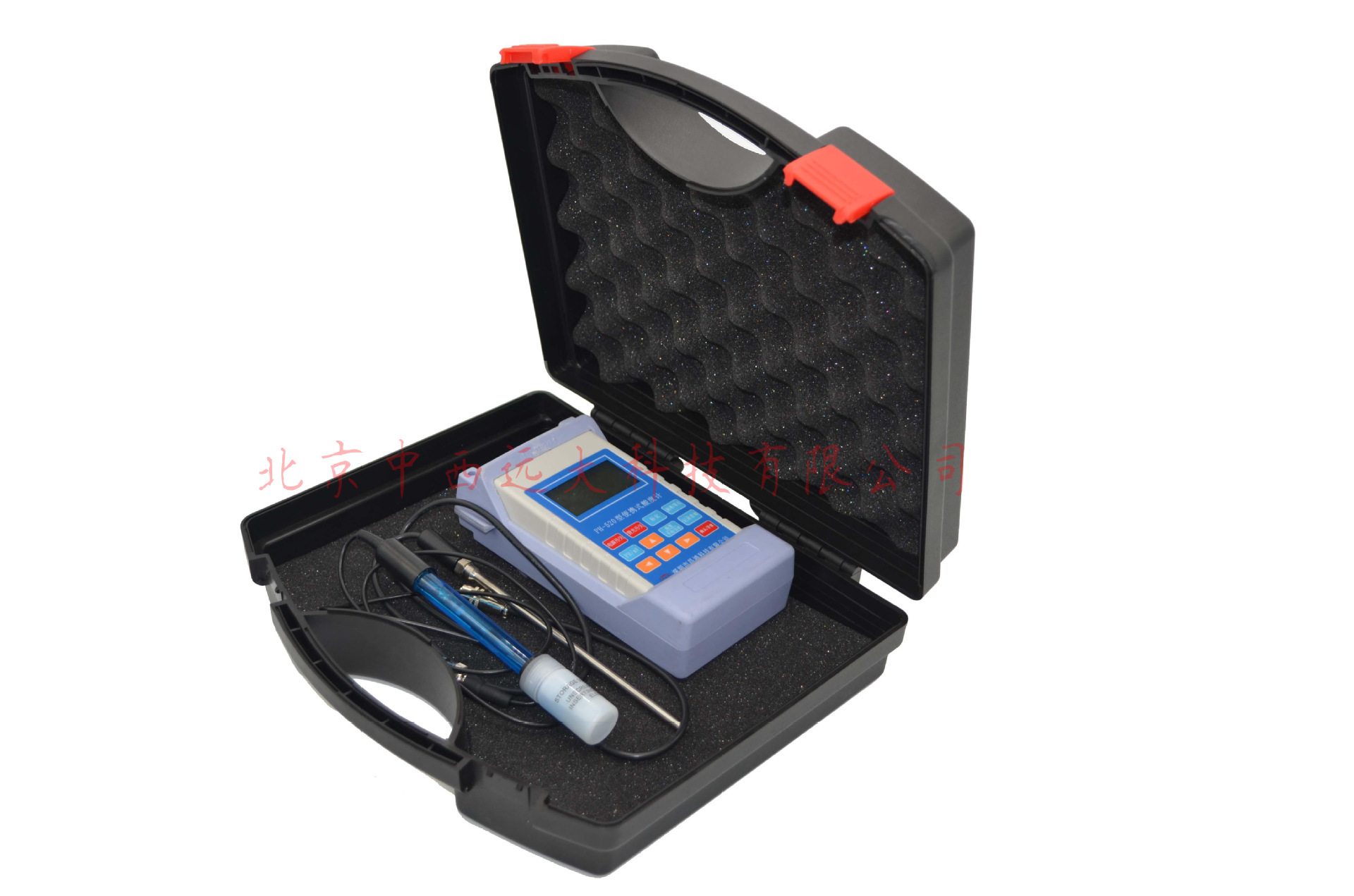 便携式酸度计 型号CH10/ZXPH-520库号M406265