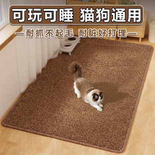 ؈ץ��؈�Cһ�w��̺�|؈��˯�X�Ӻ�ů�|�Ӳ͉|؈��ɰ�|������