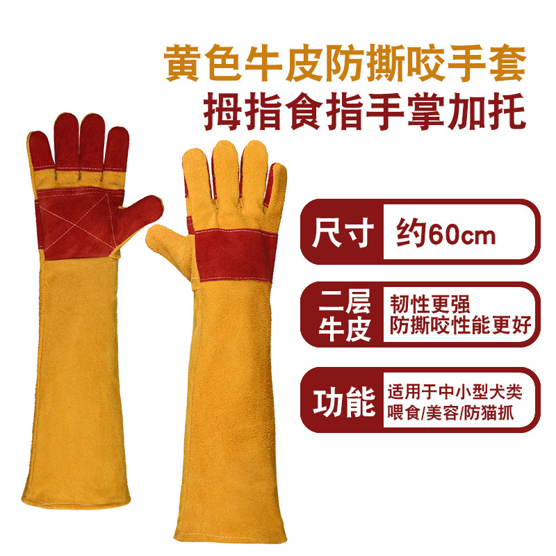 60cm 노란색 업그레이드