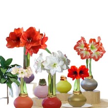 һ�����lϞ����피tϞ���M���ذ�N�򎧻���ʯϞ��피t�Y������F