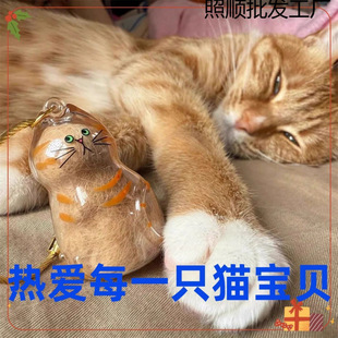 Pet Hair Commemorative Cat Gashapon Cat Hair Commemorative Transparent Dog Hair Cat Hair Collection Suction Hair Mini Storage