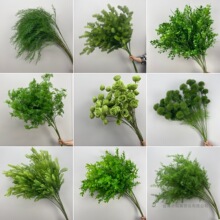 cˇGֲPβ~ȼXݲþGɫϻY