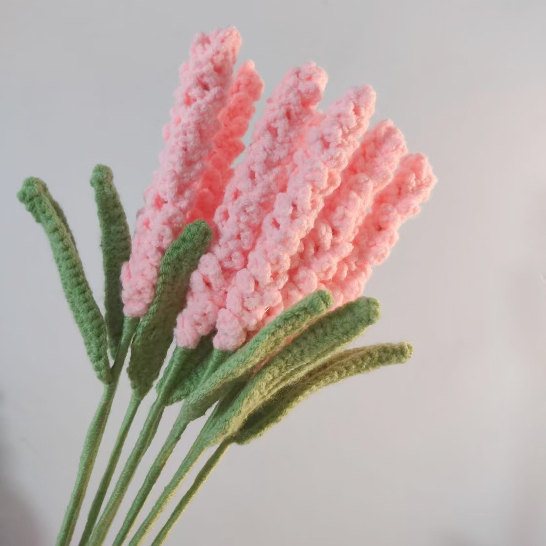 라벤더~체리 파우더