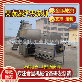 工业级蒸汽去皮机 果蔬薯类智能去皮 低损耗304不锈钢食品级设备